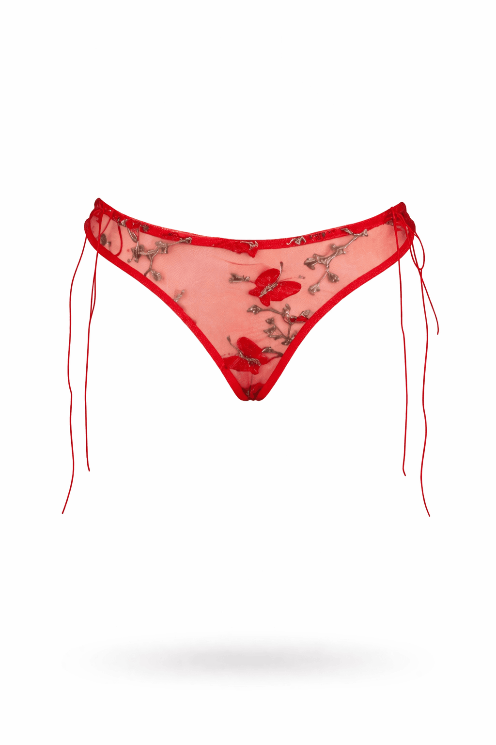 Aurora Plus Size Panty front view